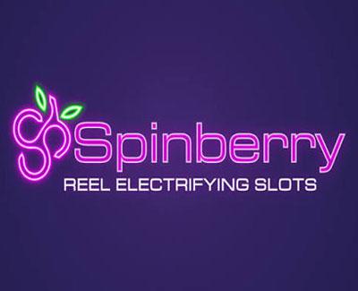 Logo van provider Spinberry