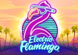 Electric Flamingo