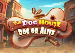 The Dog House - Dog or Alive