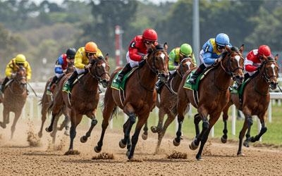 Britse paardensport staakt als protest tegen hogere belasting Britse paardensport staakt als protest tegen hogere belasting