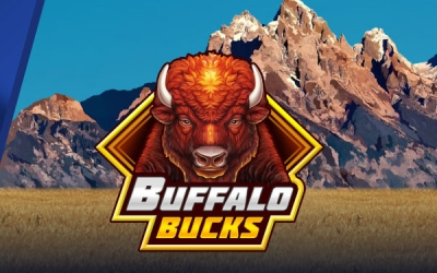 Nieuwe tijdelijke welkomstbonus Betnation: Scoor tot €100 gratis spins!