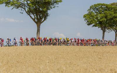 Sprintduel Van der Poel, Van Aert en Pogacar mogelijk in tweede Tour-etappe