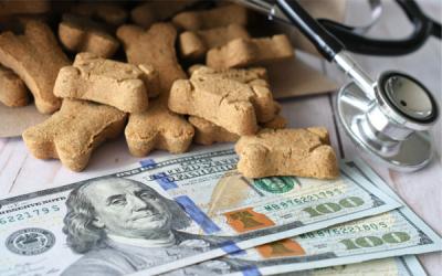 Voormalig manager vergokt ruim $624.000 van dierenkliniek Voormalig manager vergokt ruim $624.000 van dierenkliniek