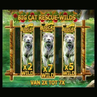 Big Cat Rescue Megaways Wilds