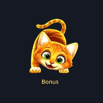 Gratis spins van de Cat's Meow Rush Express slot