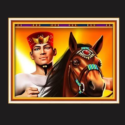 Diamond Link Oasis Riches wild symbool