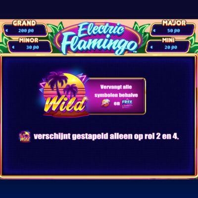 Electric Flamingo wild