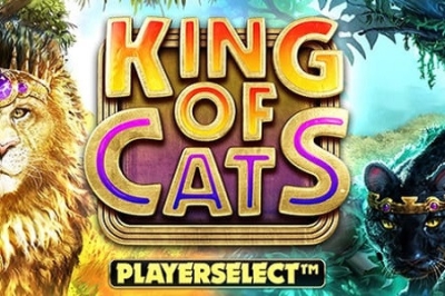 King of Cats