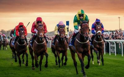 Paardenrace 4e over de finish