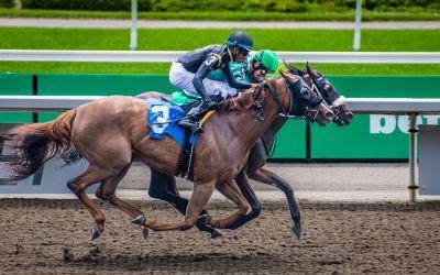 Paardenraces opties: Duo, Trio of Trio Wanorde