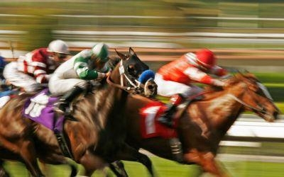 Paardenraces - kwartet