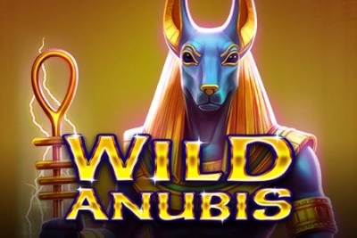 Wild Anubis Amatic Wild Anubis