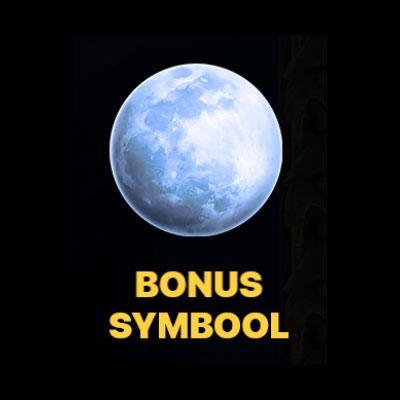 Bonus symbool van het spel Wolf Land: Hold and Win