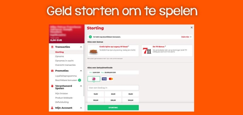 Stort geld voor de bonus bij het gekozen online casino