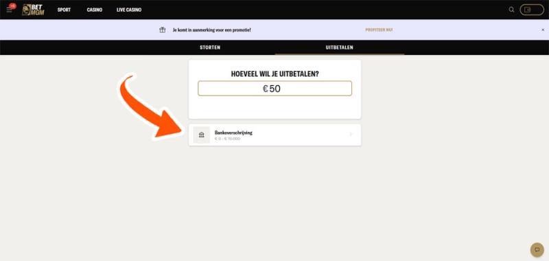 Vul het bedrag in en kies voor uitbetalen!