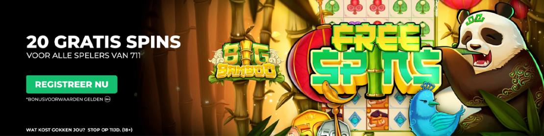 Free spins bonus als voorbeeld bij 711 in Nederland