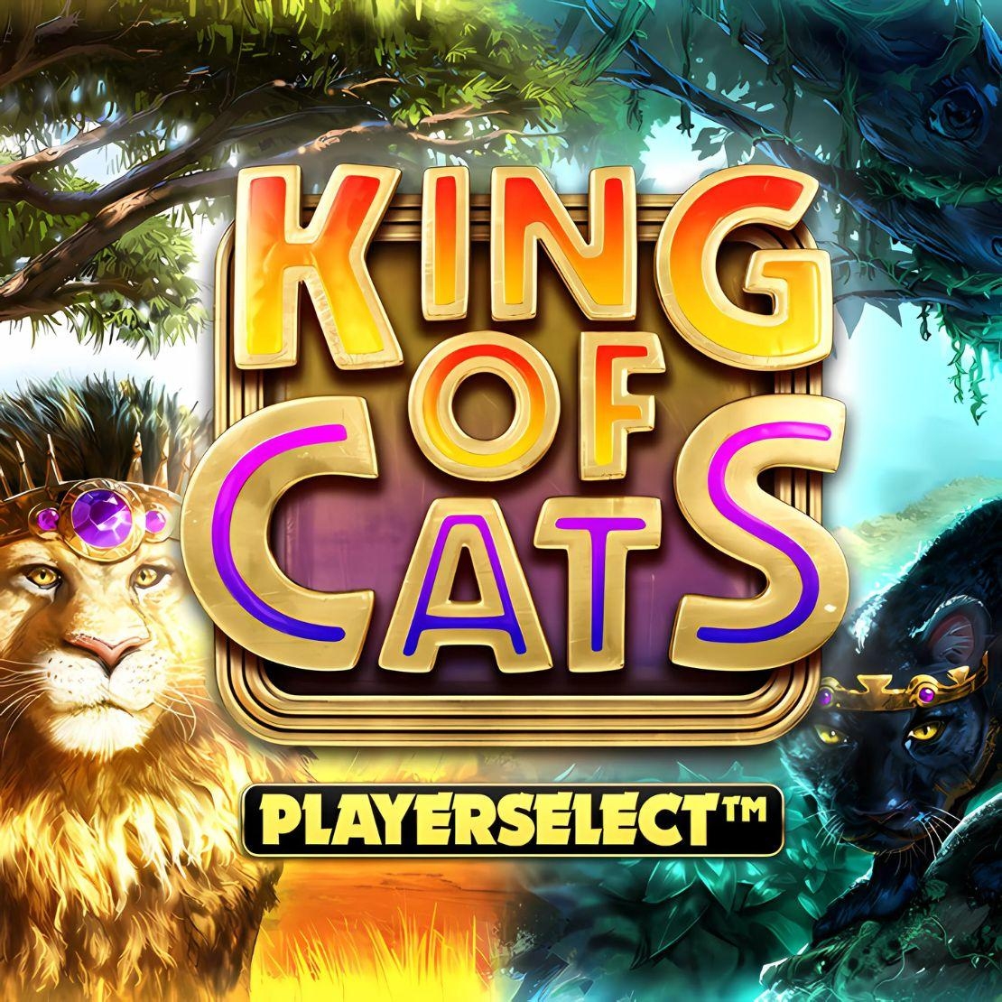 King of Cats spellogo