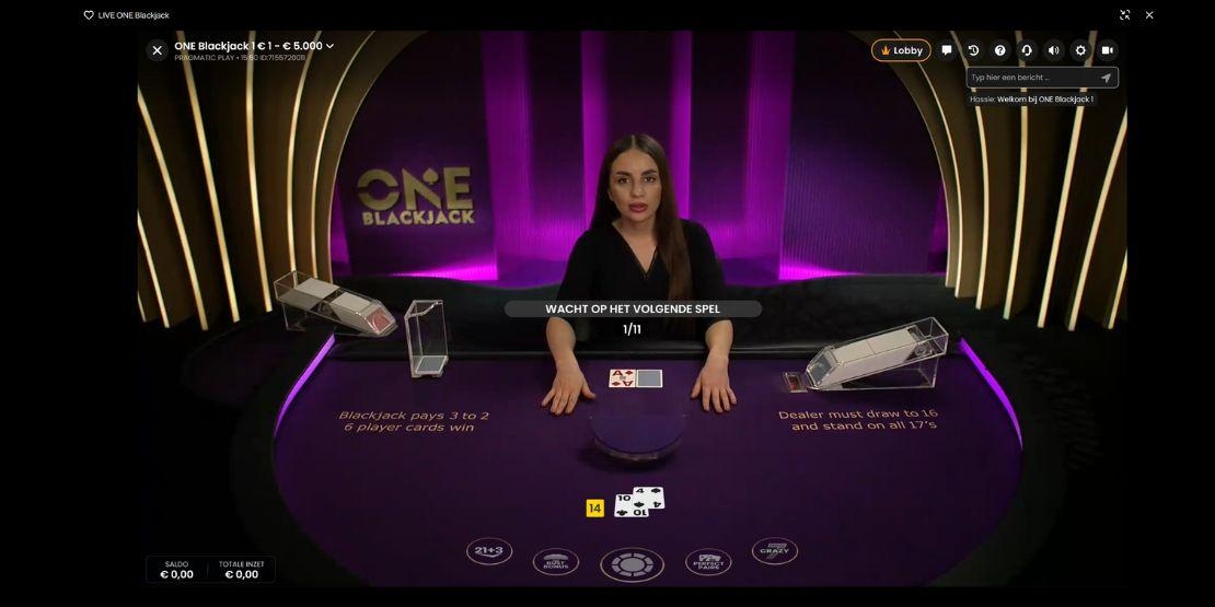 One Blackjack speelveld