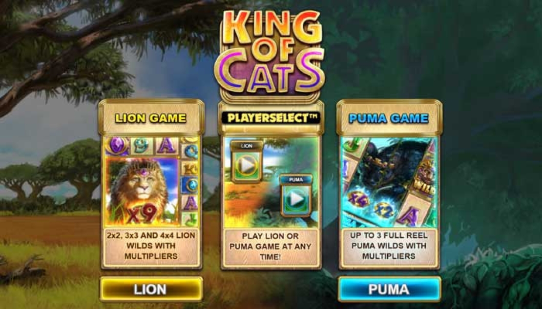 Playerselect gokkasten uitleg