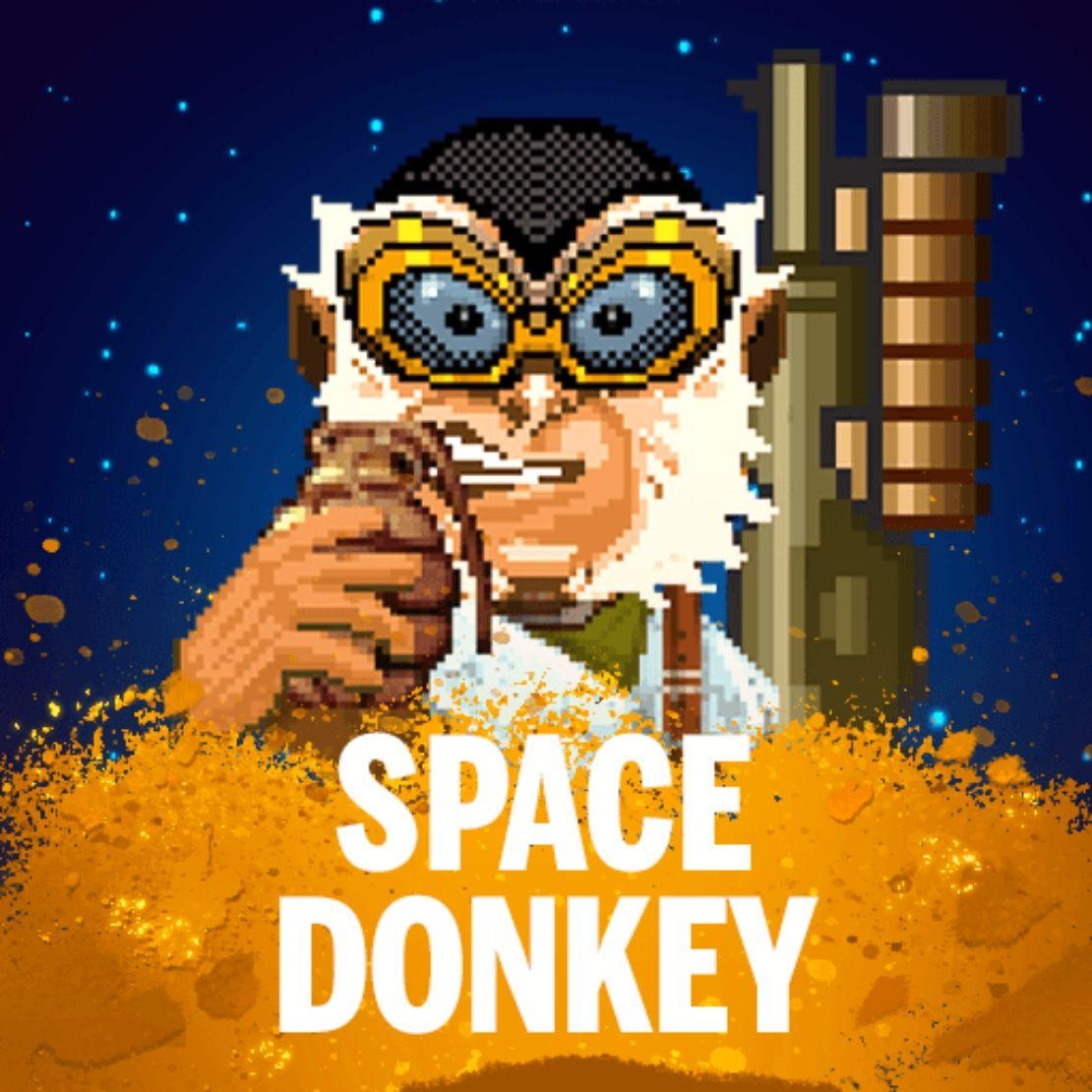 Space Donkey spellogo