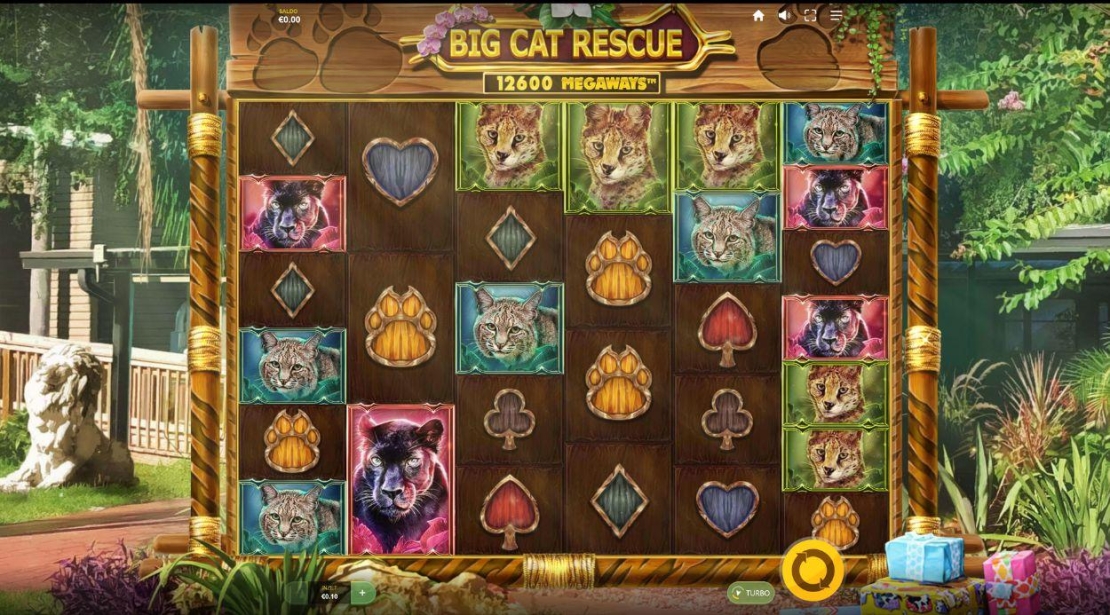 Speelscherm van de slot Big Cat Rescue Megaways