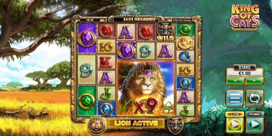 Speelveld King of Cats BTG