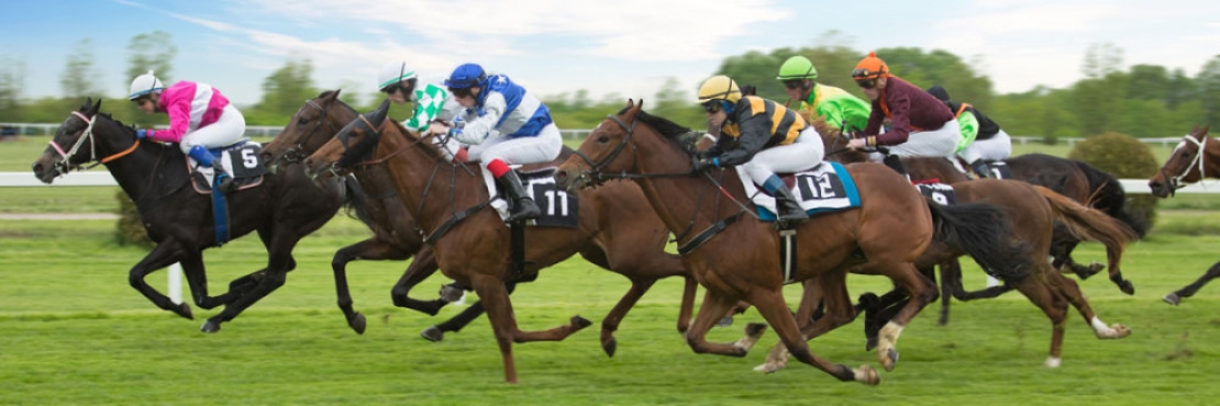 Bij bookmakers wedden op paarden