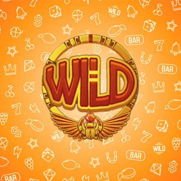 Uitleg over Wild symbolen